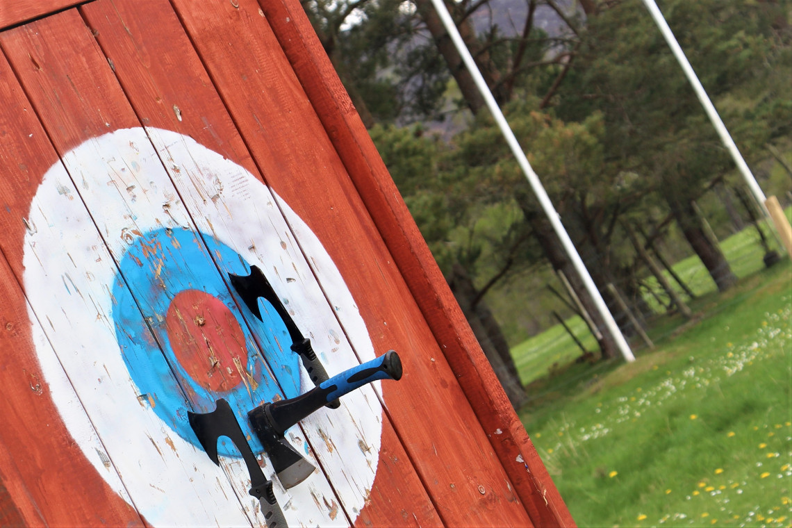 An wooden target with a throwing axe stuck in it