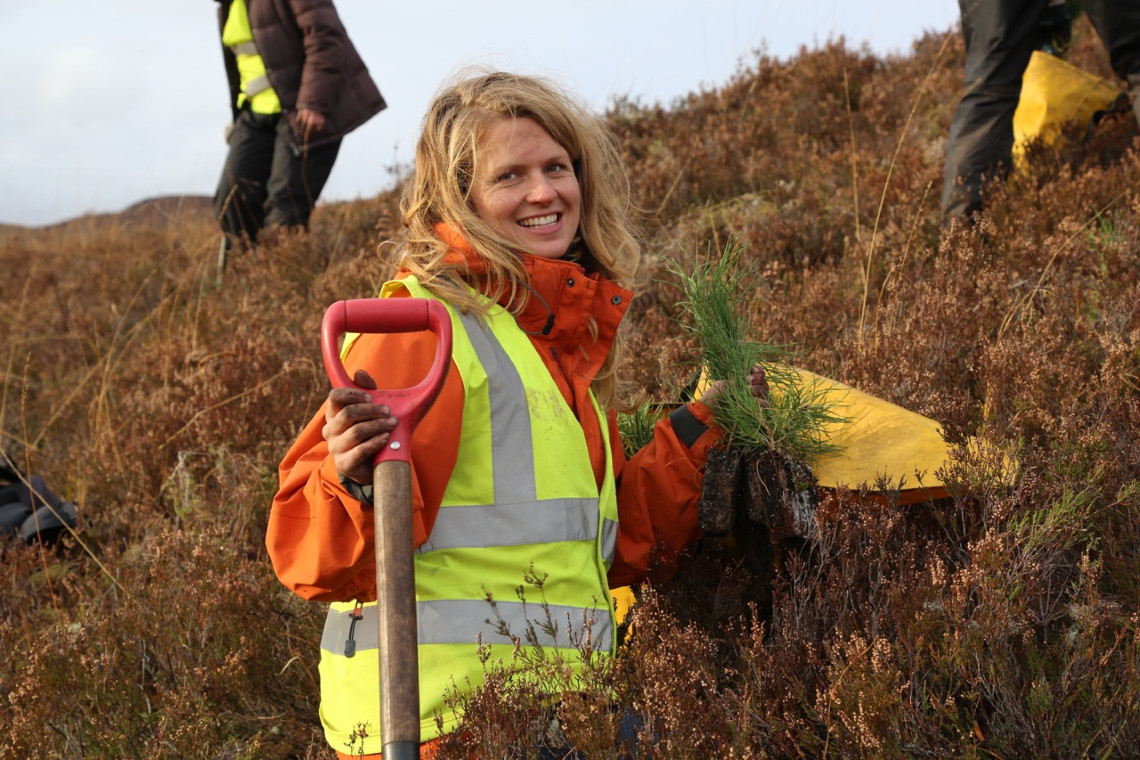 trees for life volunteer helping to plan scots pine saplings